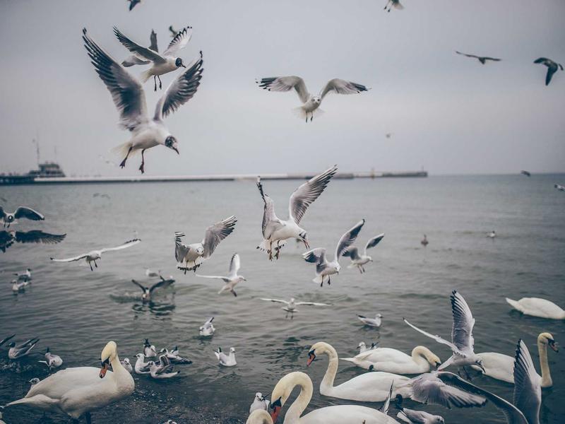 sudoku patience training screenshot 3